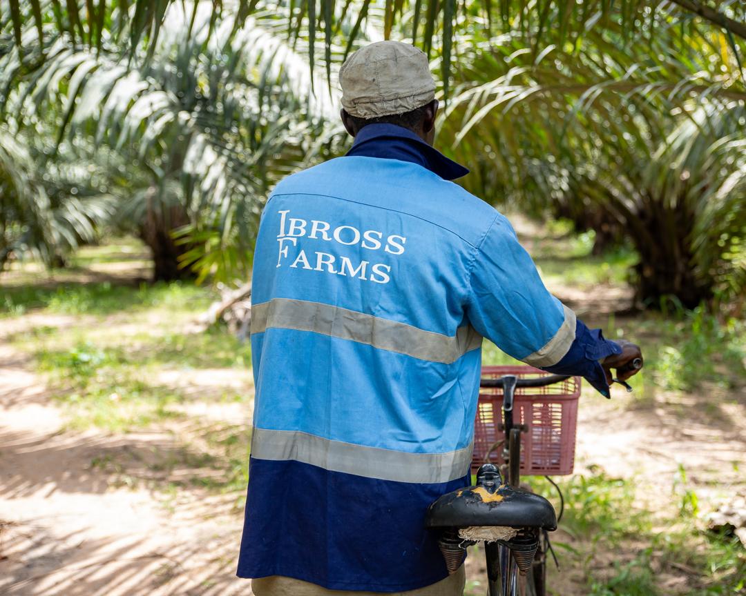 Ibross Farms field worker